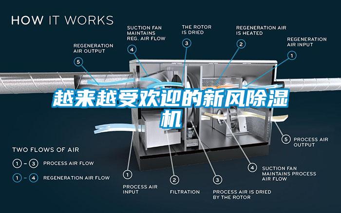 越来越受欢迎的新风香蕉视频国产APP下载机