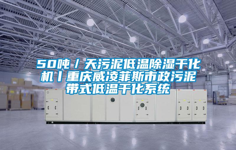 50吨／天污泥低温香蕉视频国产APP下载干化机丨重庆威凌菲斯市政污泥带式低温干化系统