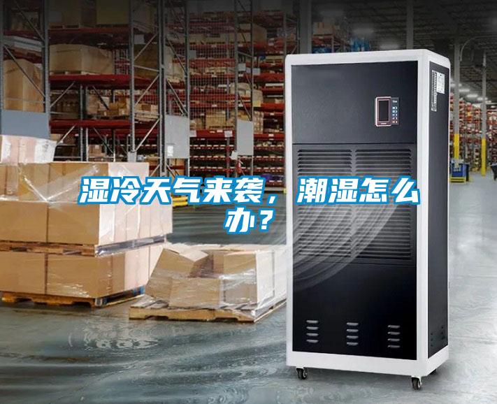 湿冷天气来袭，潮湿怎么办？