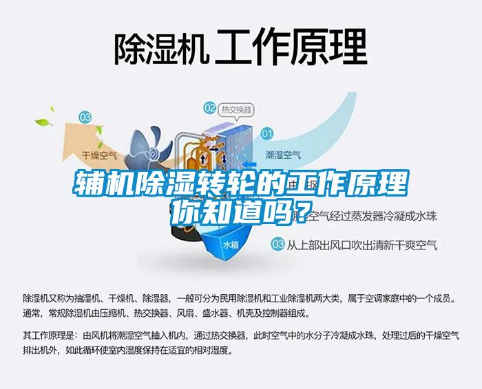辅机香蕉视频国产APP下载转轮的工作原理你知道吗？