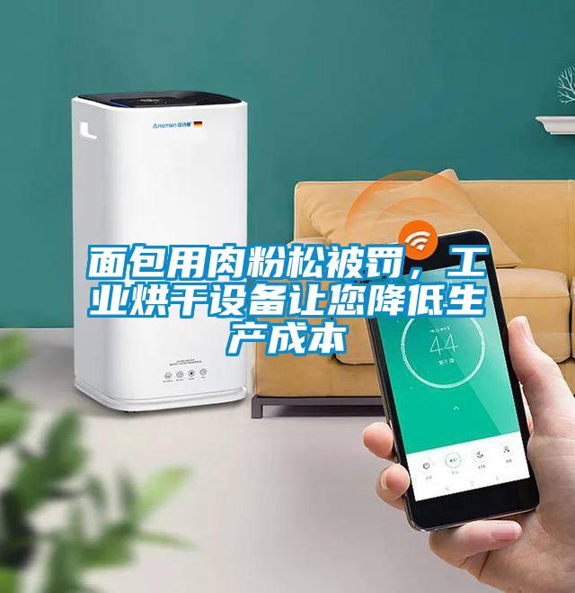 面包用肉粉松被罚，工业烘干设备让您降低生产成本