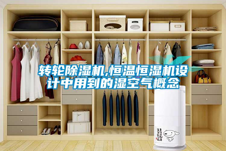 转轮香蕉视频国产APP下载机,恒温恒湿机设计中用到的湿空气概念