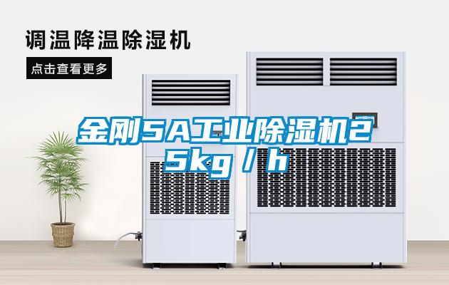 金刚5A工业香蕉视频国产APP下载机25kg／h
