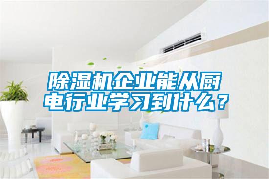 香蕉视频国产APP下载机企业能从厨电行业学习到什么？