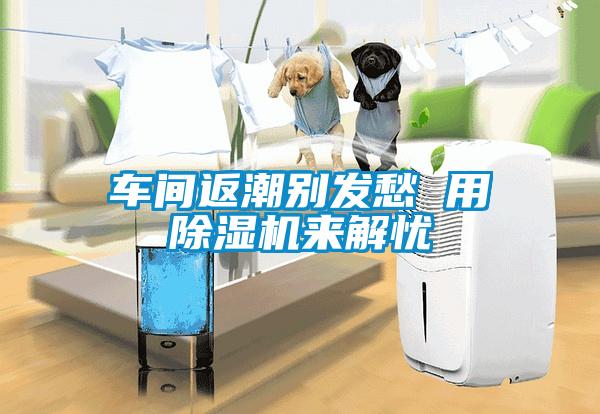 车间返潮别发愁 用香蕉视频国产APP下载机来解忧