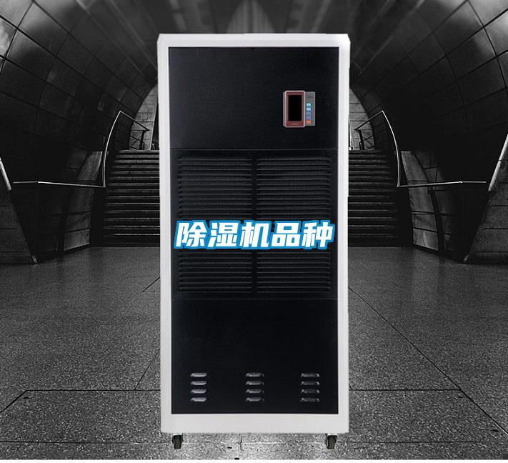 香蕉视频国产APP下载机品种