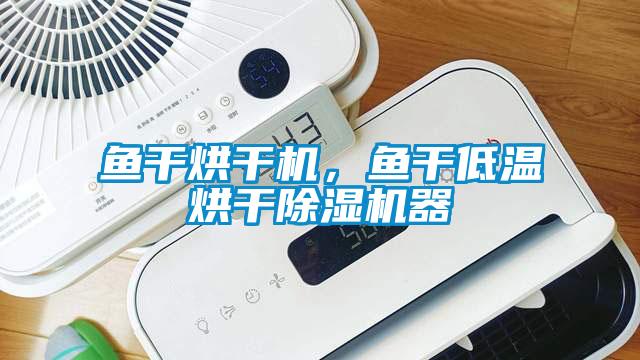 鱼干烘干机，鱼干低温烘干香蕉视频国产APP下载机器