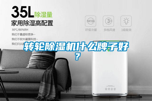 转轮香蕉视频国产APP下载机什么牌子好？