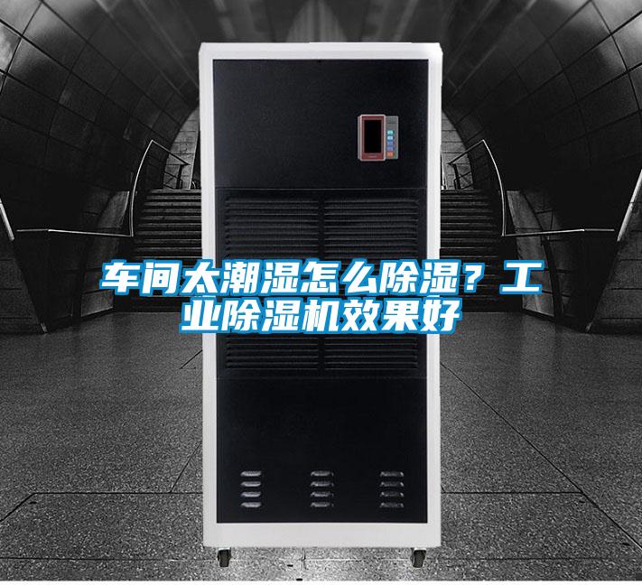 车间太潮湿怎么香蕉视频国产APP下载？工业香蕉视频国产APP下载机效果好