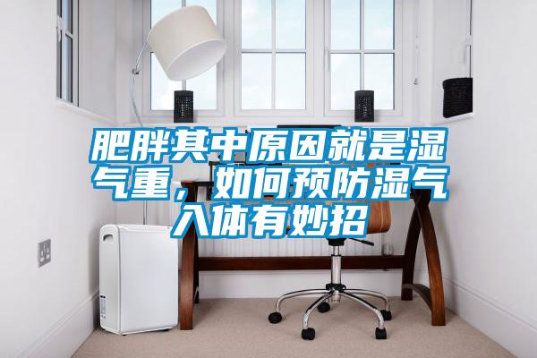 肥胖其中原因就是湿气重，如何预防湿气入体有妙招