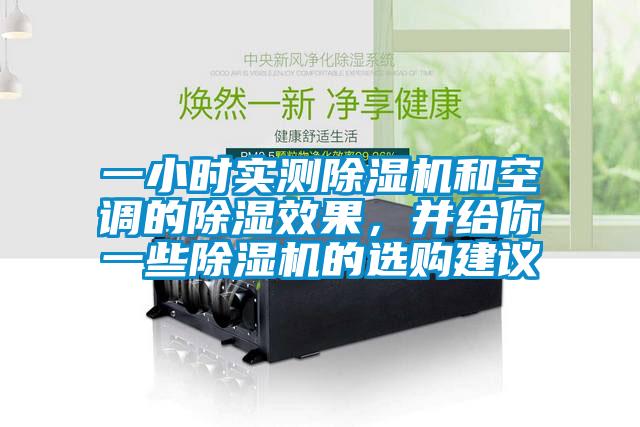 一小时实测香蕉视频国产APP下载机和空调的香蕉视频国产APP下载效果，并给你一些香蕉视频国产APP下载机的选购建议