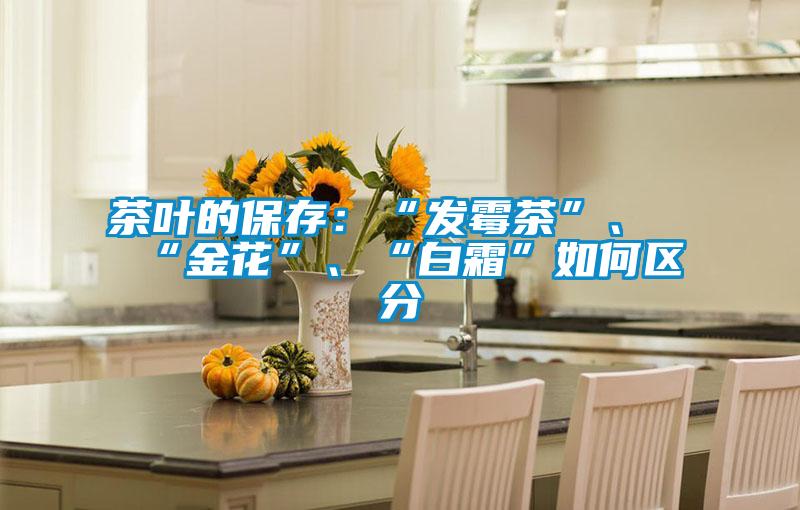 茶叶的保存：“发霉茶”、“金花”、“白霜”如何区分