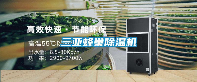三亚蜂巢香蕉视频国产APP下载机