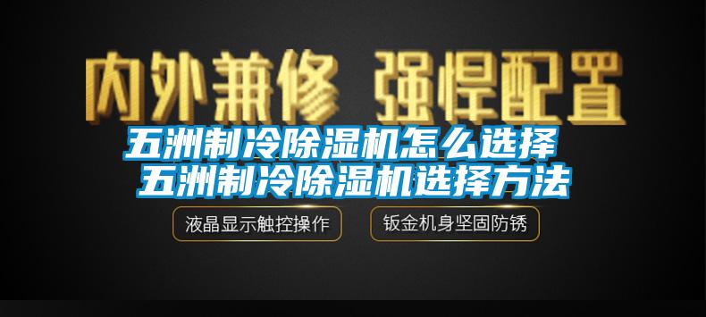 五洲制冷香蕉视频国产APP下载机怎么选择 五洲制冷香蕉视频国产APP下载机选择方法