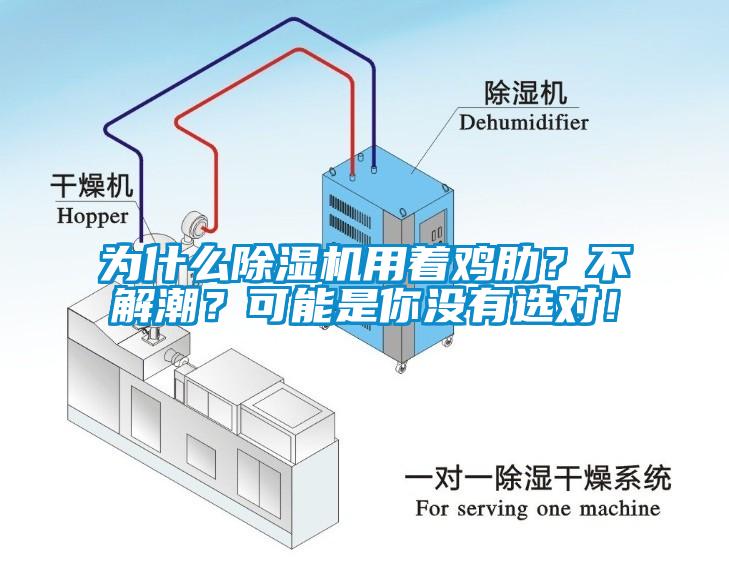 为什么香蕉视频国产APP下载机用着鸡肋？不解潮？可能是你没有选对！