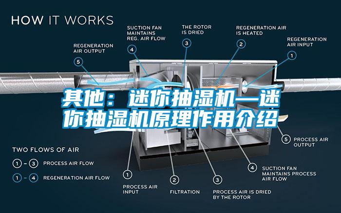 其他：迷你抽湿机—迷你抽湿机原理作用介绍