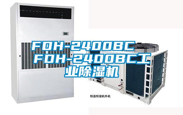 FDH-2400BC  FDH-2400BC工业香蕉视频国产APP下载机