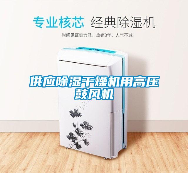 供应香蕉视频国产APP下载干燥机用高压鼓风机