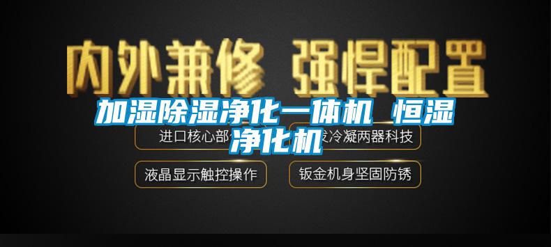 加湿香蕉视频国产APP下载净化一体机 恒湿净化机