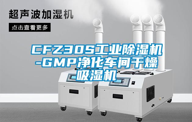 CFZ30S工业香蕉视频国产APP下载机-GMP净化车间干燥吸湿机