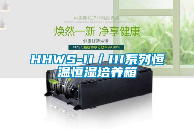 HHWS-II／III系列恒温恒湿培养箱