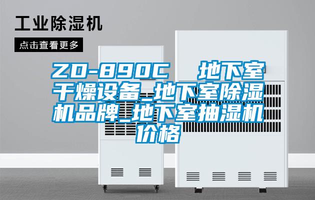 ZD-890C  地下室干燥设备_地下室香蕉视频国产APP下载机品牌_地下室抽湿机价格