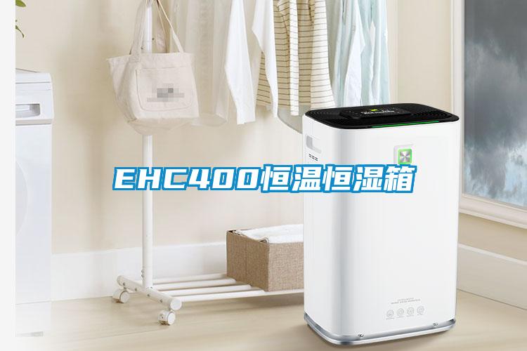 EHC400恒温恒湿箱