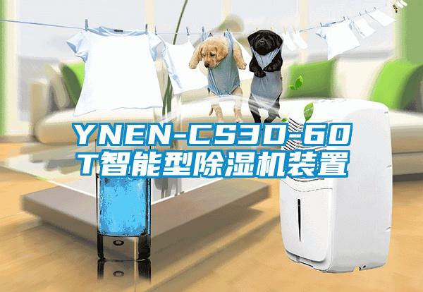 YNEN-CS3D-60T智能型香蕉视频国产APP下载机装置