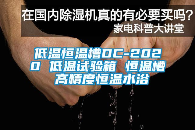 低温恒温槽DC-2020 低温试验箱 恒温槽 高精度恒温水浴