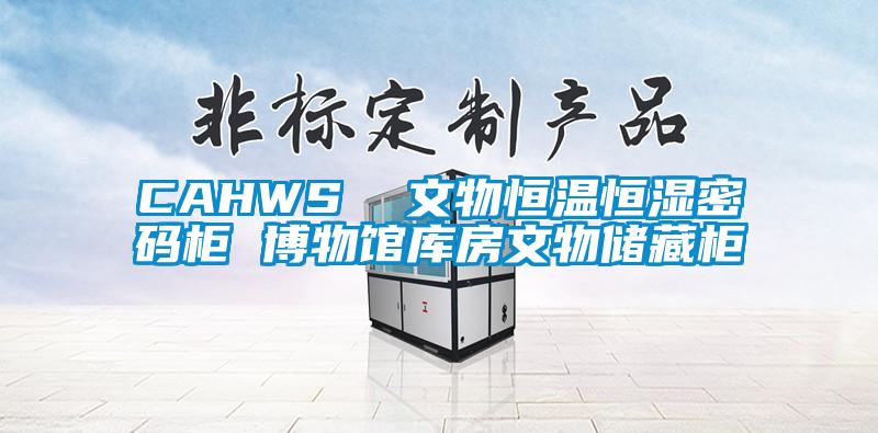 CAHWS  文物恒温恒湿密码柜 博物馆库房文物储藏柜