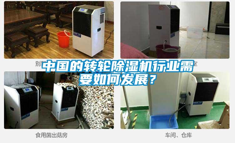 中国的转轮香蕉视频国产APP下载机行业需要如何发展？