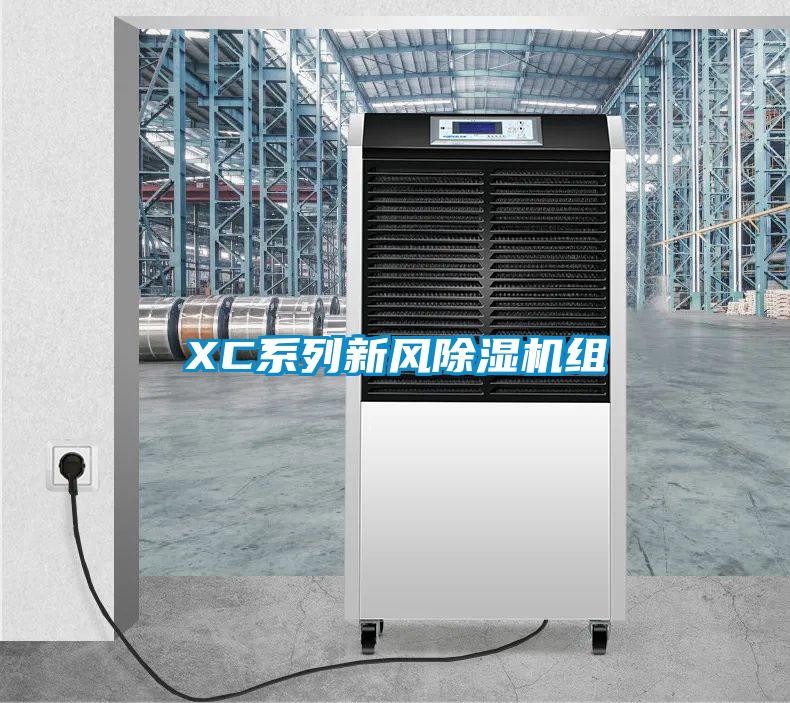 XC系列新风香蕉视频国产APP下载机组