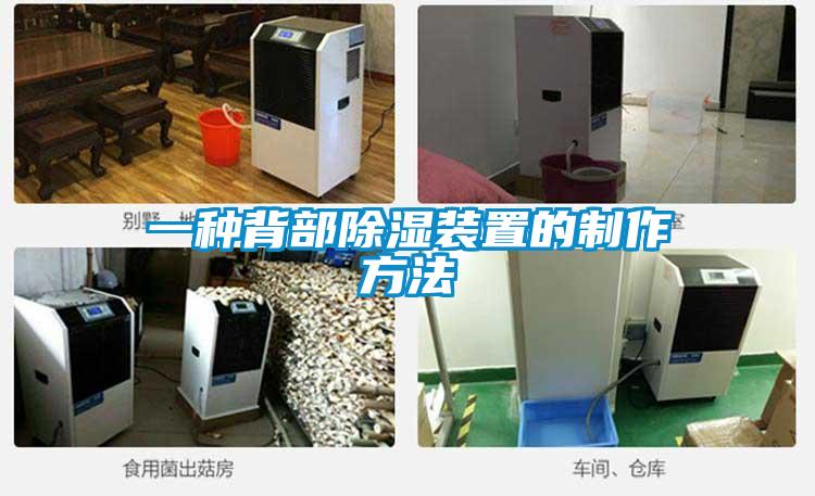 一种背部香蕉视频国产APP下载装置的制作方法