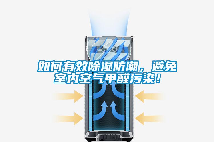 如何有效香蕉视频国产APP下载防潮，避免室内空气甲醛污染！