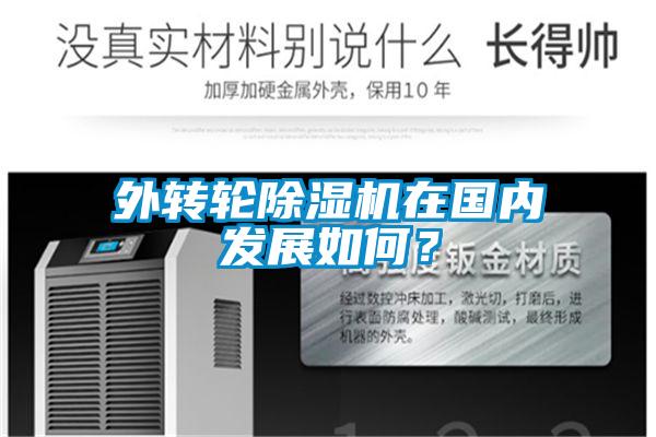 外转轮香蕉视频国产APP下载机在国内发展如何？