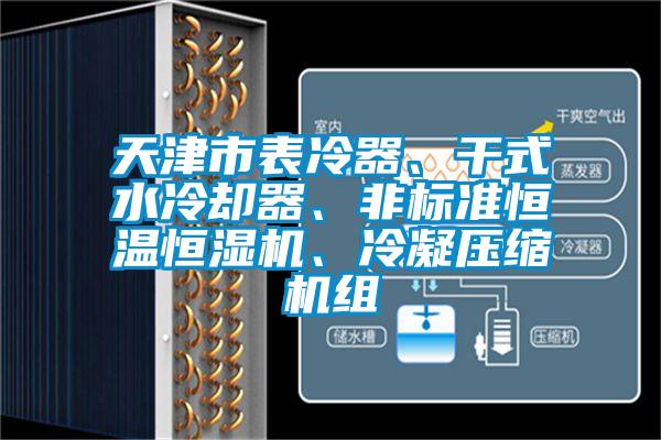 天津市表冷器、干式水冷却器、非标准恒温恒湿机、冷凝压缩机组