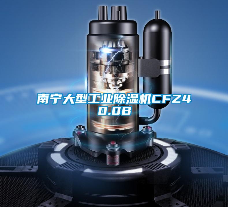 南宁大型工业香蕉视频国产APP下载机CFZ40.0B