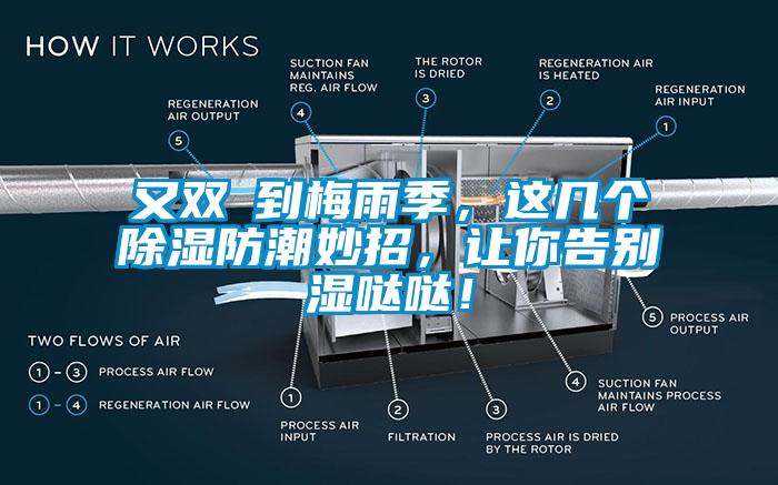 又双叒到梅雨季，这几个香蕉视频国产APP下载防潮妙招，让你告别湿哒哒！