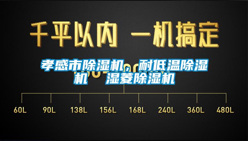 孝感市香蕉视频国产APP下载机，耐低温香蕉视频国产APP下载机  湿菱香蕉视频国产APP下载机
