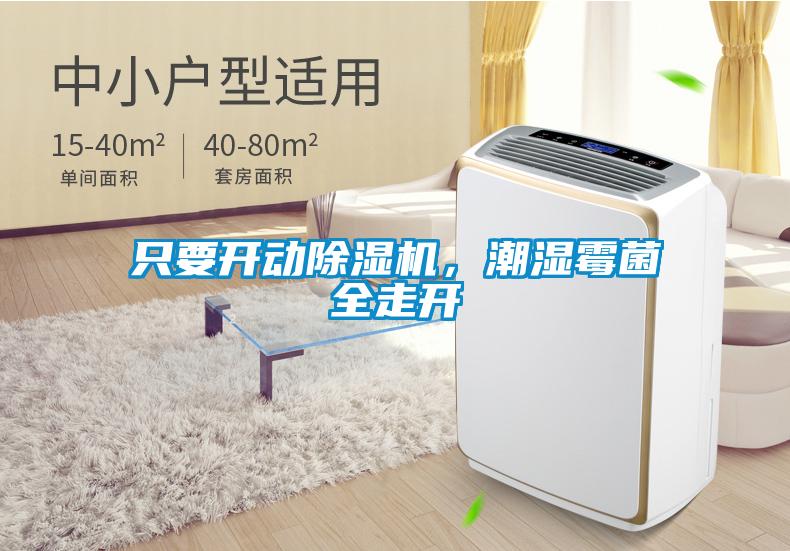 只要开动香蕉视频国产APP下载机，潮湿霉菌全走开