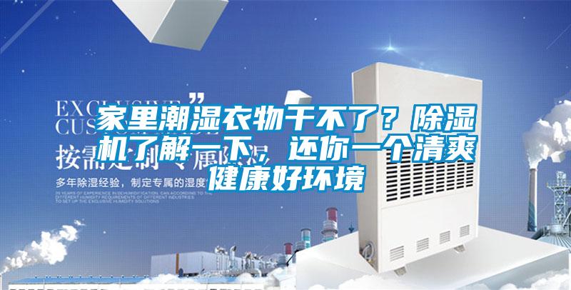 家里潮湿衣物干不了？香蕉视频国产APP下载机了解一下，还你一个清爽健康好环境