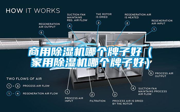 商用香蕉视频国产APP下载机哪个牌子好（家用香蕉视频国产APP下载机哪个牌子好）