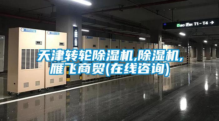 天津转轮香蕉视频国产APP下载机,香蕉视频国产APP下载机,雁飞商贸(在线咨询)