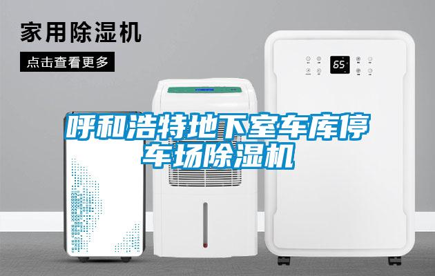 呼和浩特地下室车库停车场香蕉视频国产APP下载机