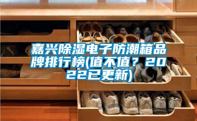 嘉兴香蕉视频国产APP下载电子防潮箱品牌排行榜(值不值？2022已更新)