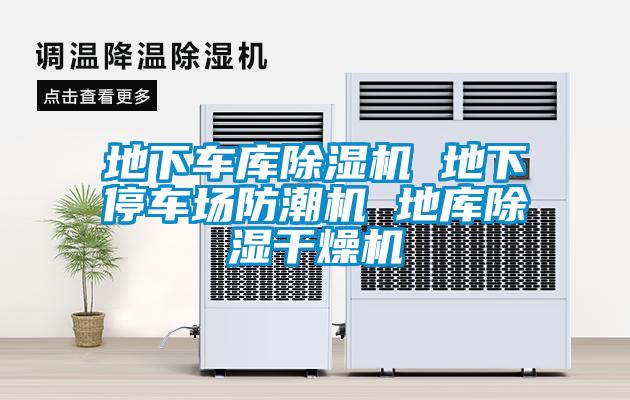 地下车库香蕉视频国产APP下载机 地下停车场防潮机 地库香蕉视频国产APP下载干燥机