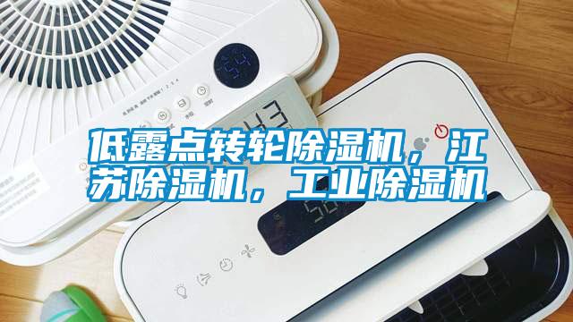 低露点转轮香蕉视频国产APP下载机，江苏香蕉视频国产APP下载机，工业香蕉视频国产APP下载机
