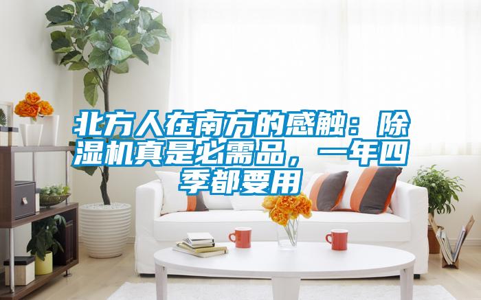 北方人在南方的感触：香蕉视频国产APP下载机真是必需品，一年四季都要用