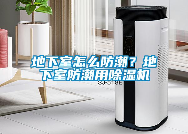 地下室怎么防潮？地下室防潮用香蕉视频国产APP下载机