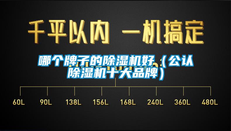 哪个牌子的香蕉视频国产APP下载机好（公认香蕉视频国产APP下载机十大品牌）